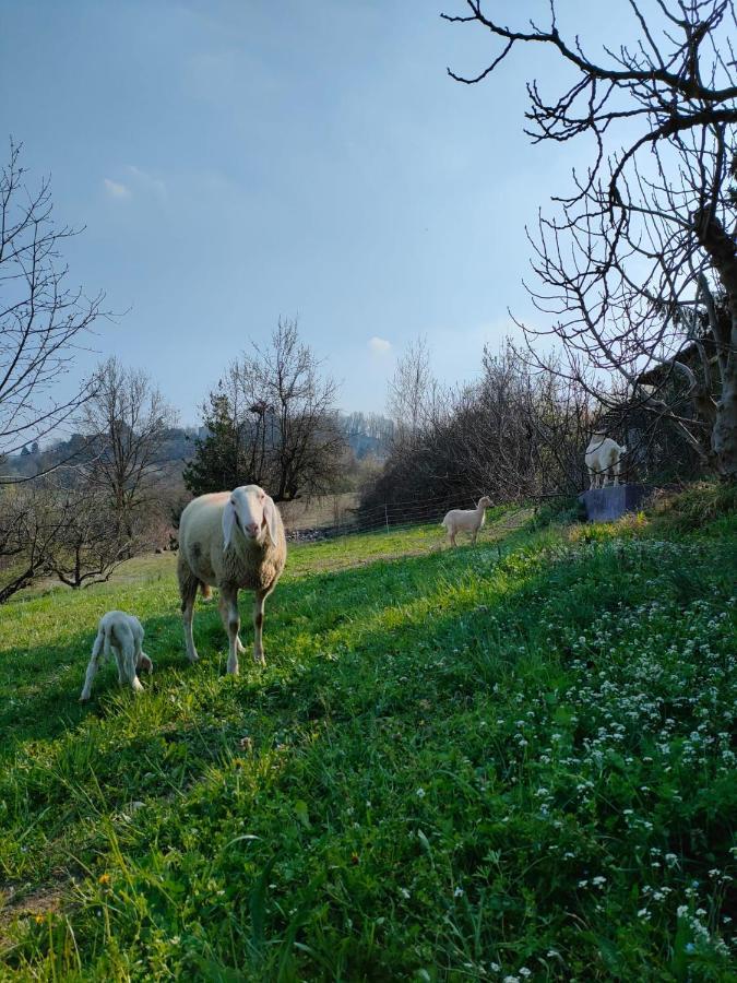 B&B Naturin - Cascina Colombaro Lauriano Exterior photo