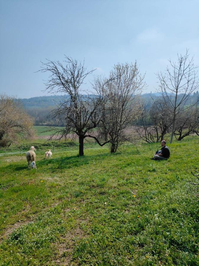 B&B Naturin - Cascina Colombaro Lauriano Exterior photo